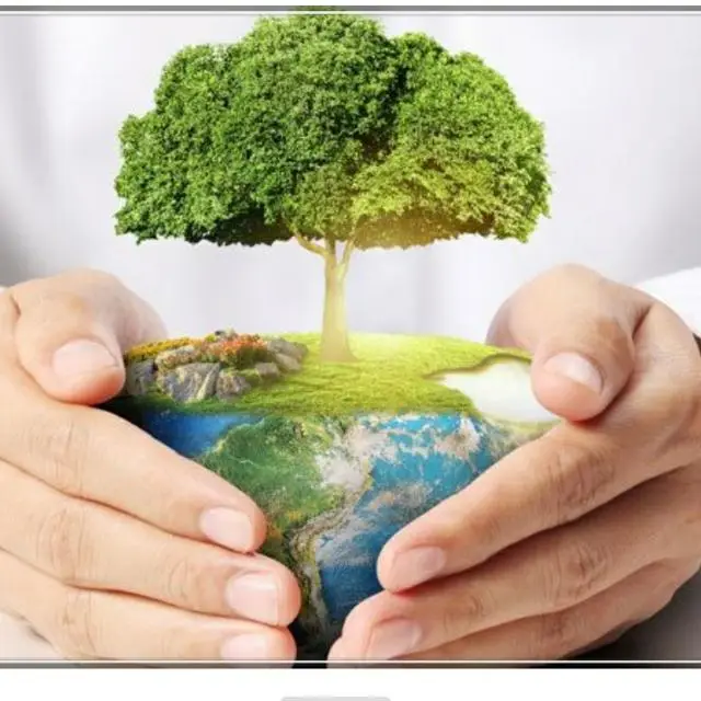 Nuestro equipo greenway